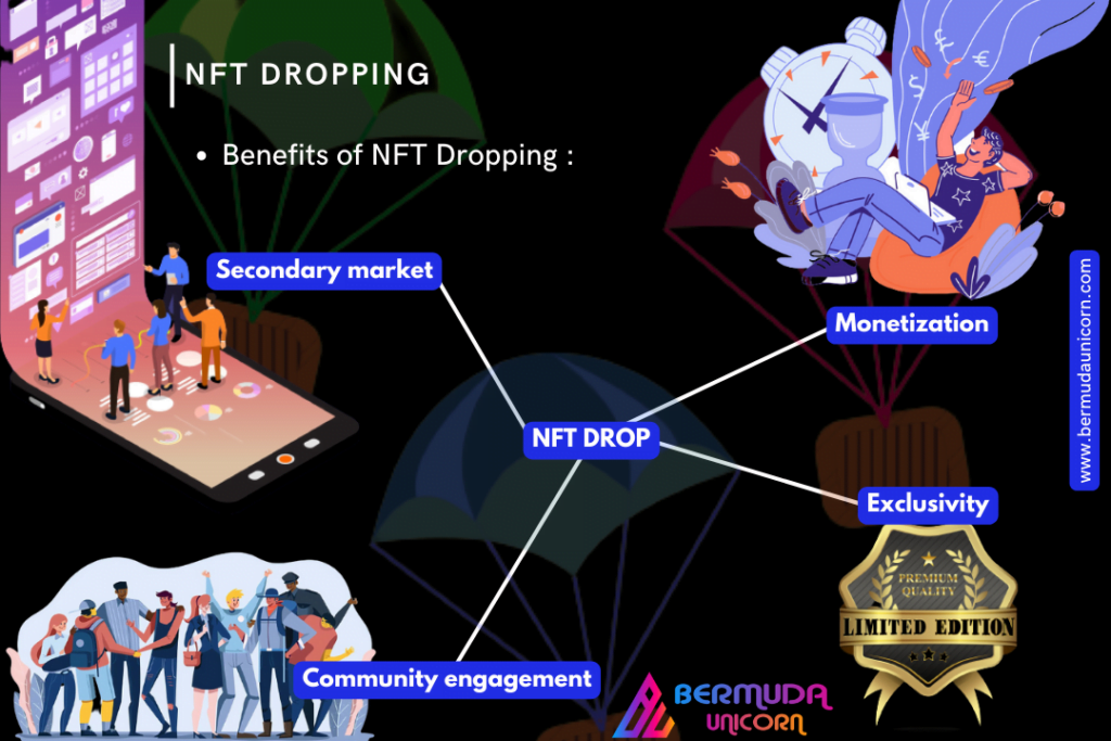 NFT Dropping