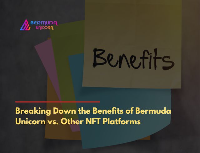 Breaking Down the Benefits of Bermuda Unicorn vs. Other NFT Platforms